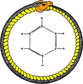 El Pollo Real: Ouroboros For Our Times