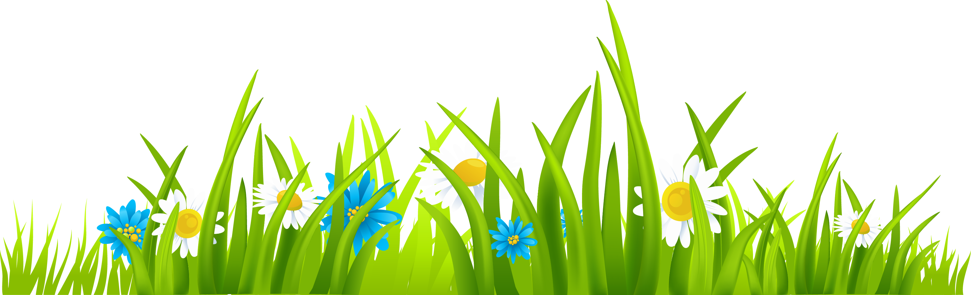 Grass Ground with Flowers PNG Clipart Picture