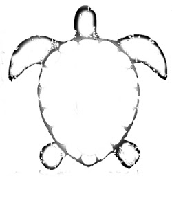 1000+ images about Turtle quilts