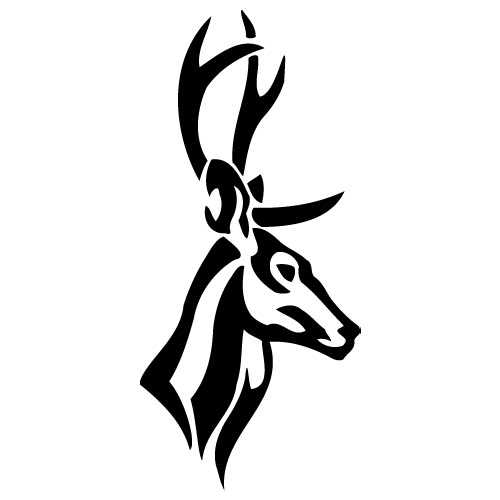 Imgs For > Tribal Deer Head Tattoo