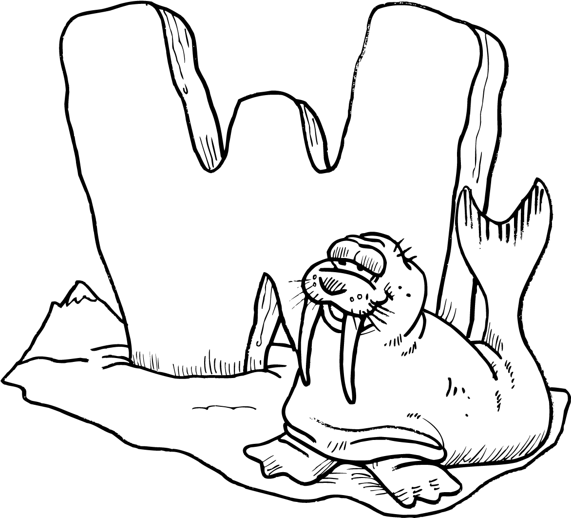 Free Printable Walrus Coloring Pages For Kids