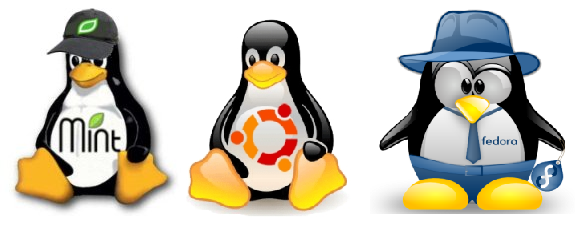 A Crash Course on Linux (Just The Good Parts)