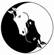 Creative Explosion: Year of Green Male Wood Horse - Daoist ...