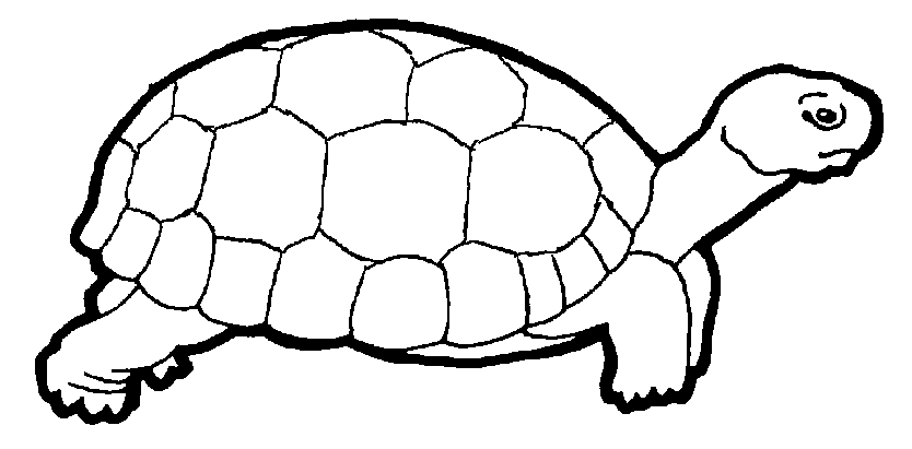 Turtle Outline Clip Art | Jos Gandos Coloring Pages For Kids
