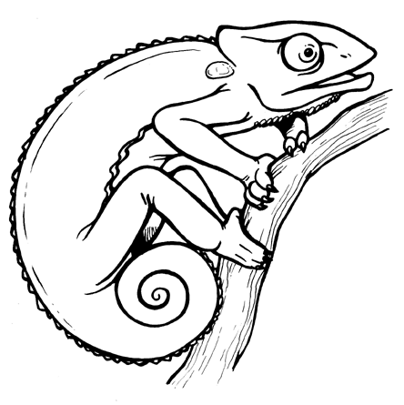 Anaconda Clipart craft projects, Animals Clipart - Clipartoons