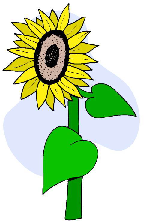Sunflower Clip Art