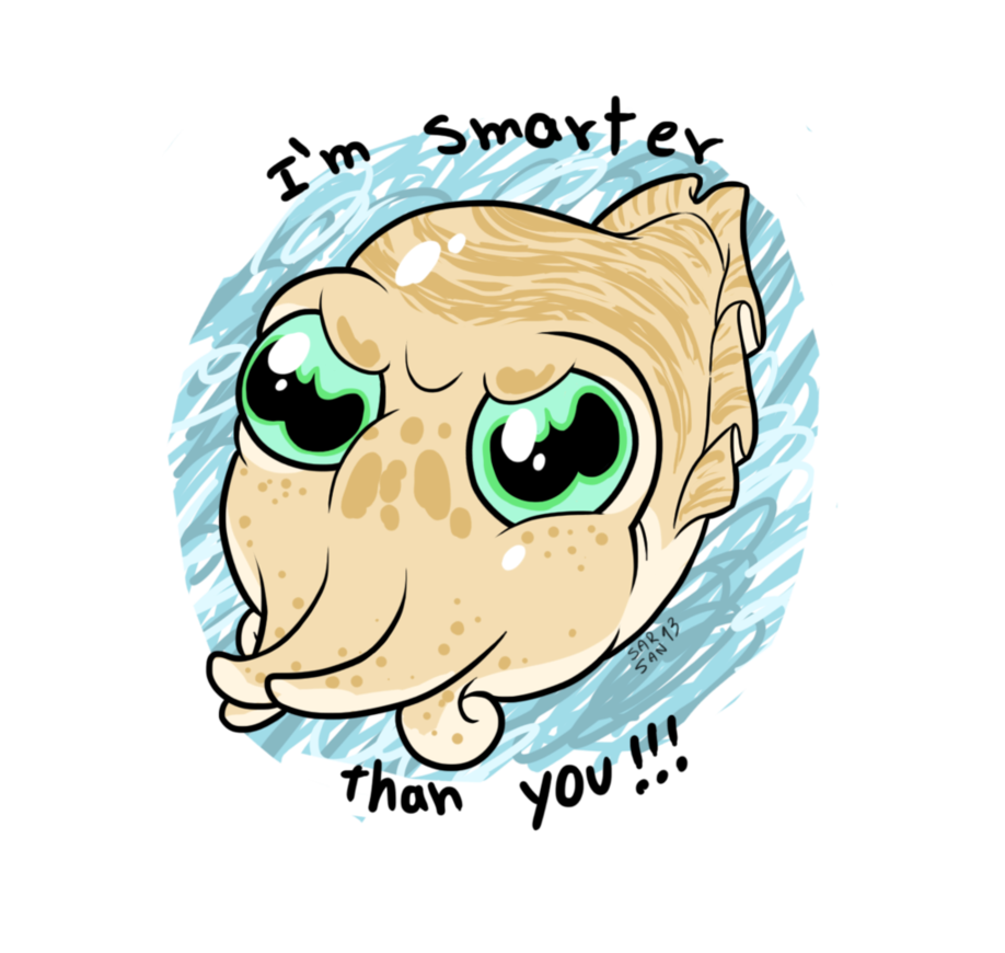 Wiggle wiggle : gifs