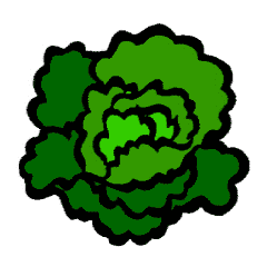 Lettuce Clip Art