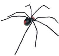 Creatures &amp; Critters | Animal Props | Nightmare Factory