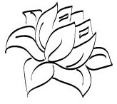The Lotus Furnished Suite Rental Victoria, BC