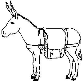 Permanent Farming Systems based on Animal Traction: PART III Draft ...