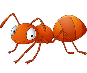 Search photos ant