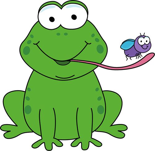 Photos, Drawings and Frog drawing
