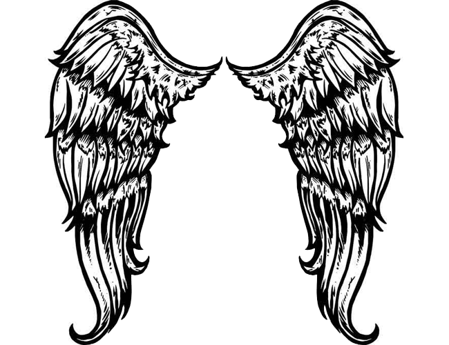 1000+ images about Wings (tattoo design)