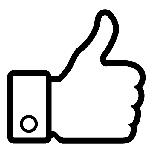 Hand like Vector Icon, 48843
