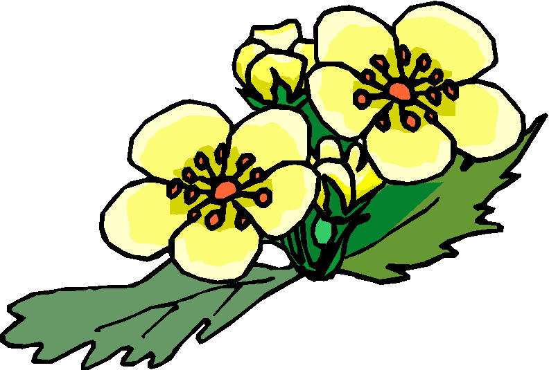 Yellow Flower Clipart