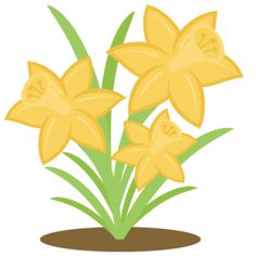 Wedding and Daffodils