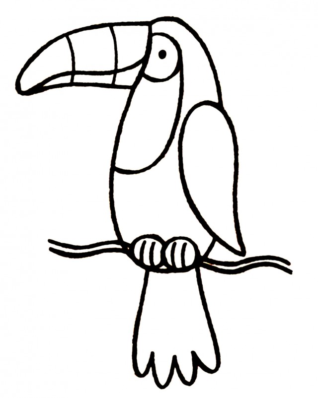 Toucan Outline