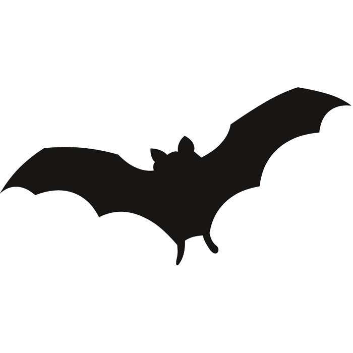 Vampire Bat Photos | Free Download Clip Art | Free Clip Art | on ...