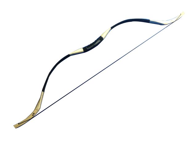 How to make a bow and arrow--10 Steps Only