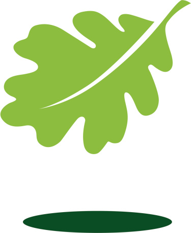 Oak Leaf Clip Art, Vector Images & Illustrations