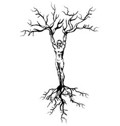 Trees, Tree drawings and The o'jays