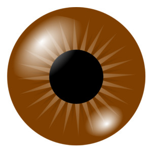 Brown Eyes Clipart