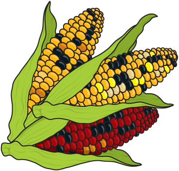 Corn Clip Art - Tumundografico