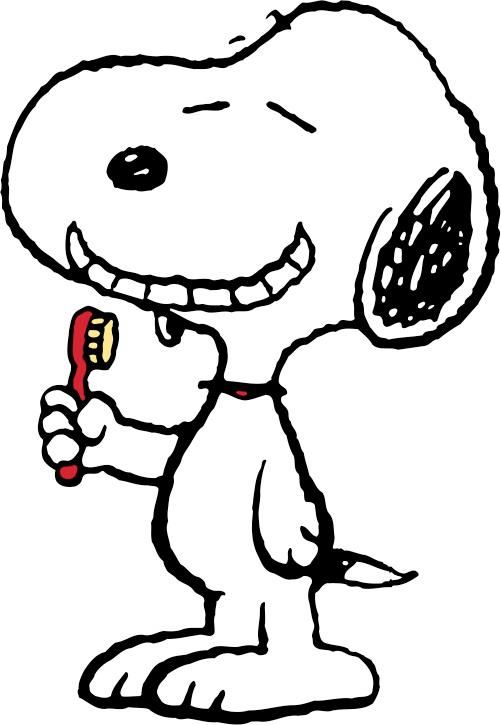 1000+ images about smile | Dental care, Dental ...