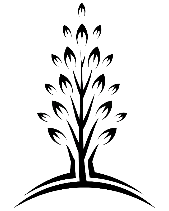 Pohon Cemara - ClipArt Best