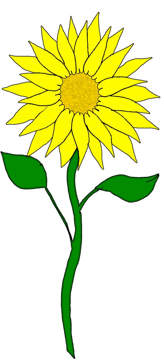Search, Vintage and Sunflower design