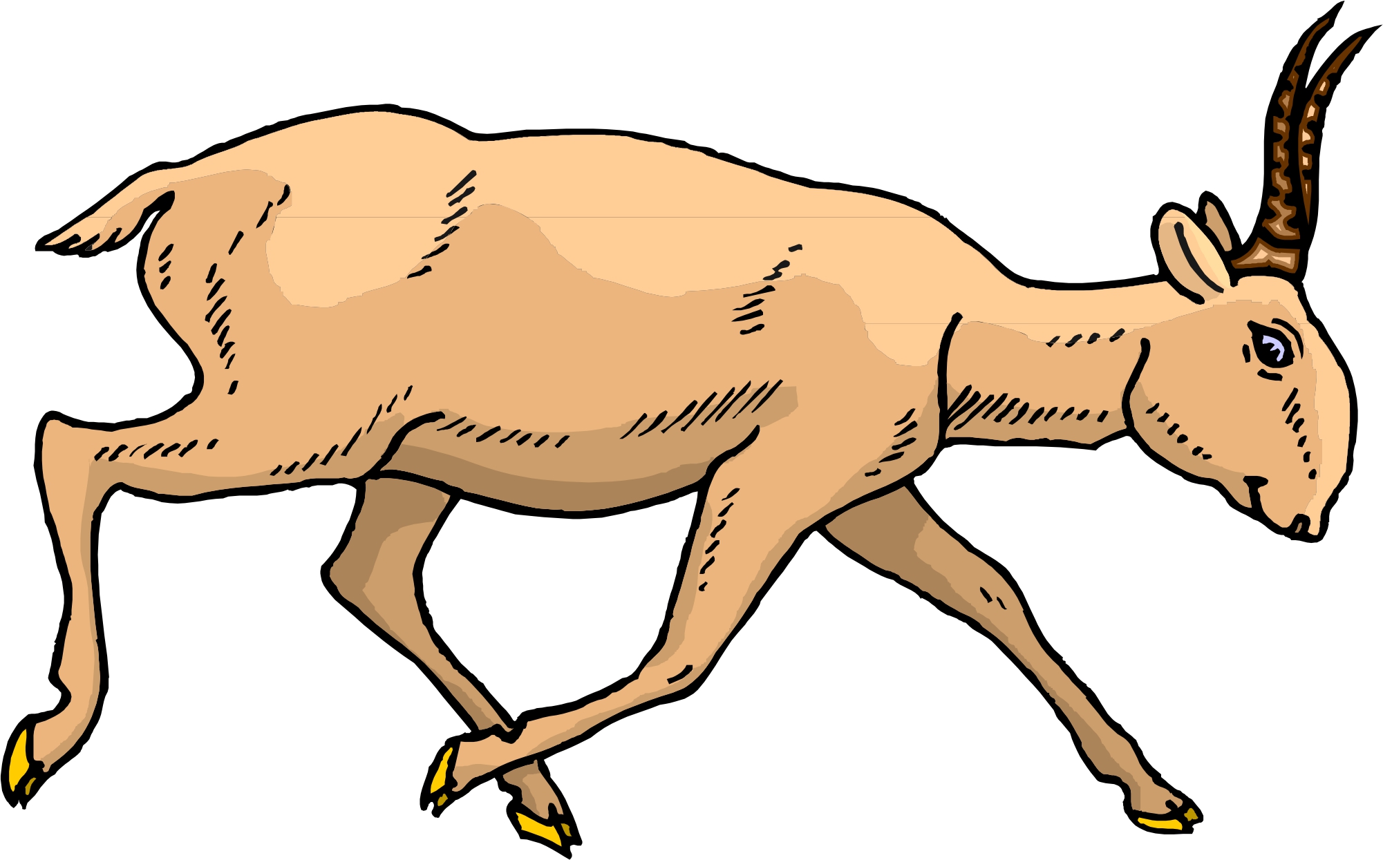 Cartoon Deer