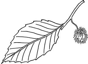 12379149261243132320 ...