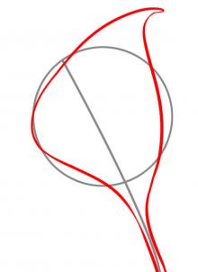 How to Draw a Flower, Step by Step, Flowers, Pop Culture, FREE ...