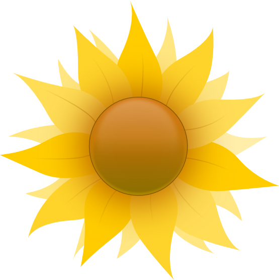 Xochi Sunflower xochi.info twee Flowers xochi.