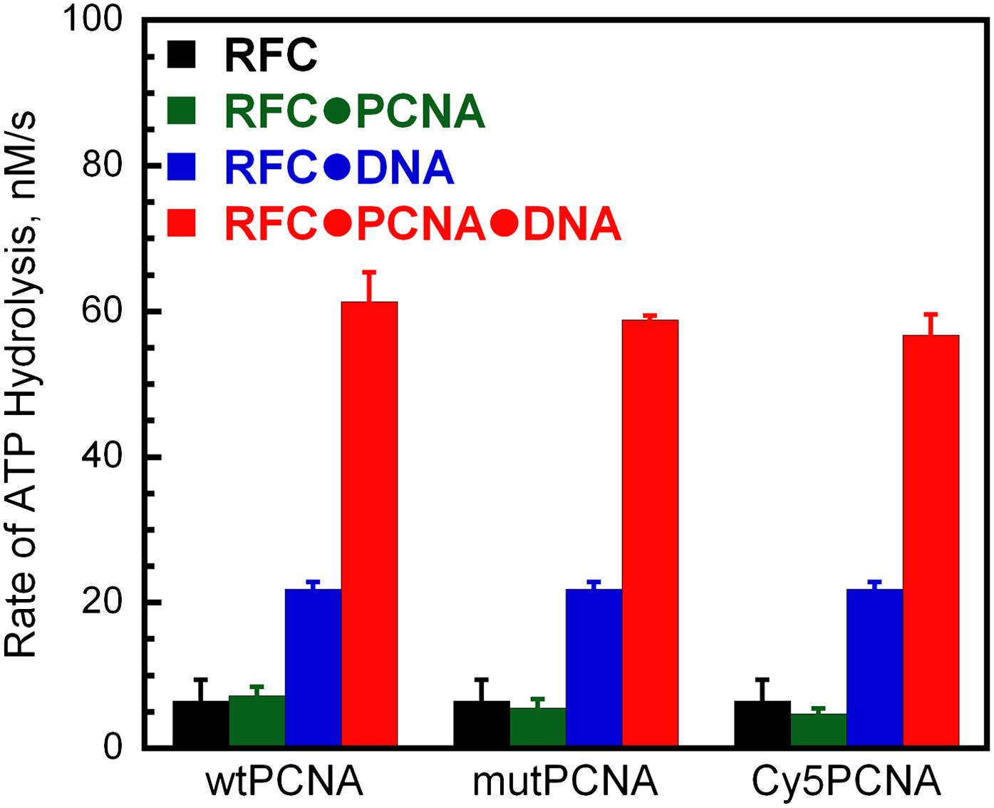 Stepwise assembly of the human replicative polymerase holoenzyme ...
