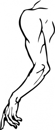 Human Body Line Drawing - ClipArt Best