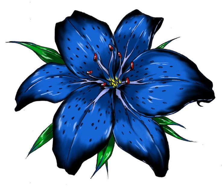 Larkspur flower tattoos clipart best