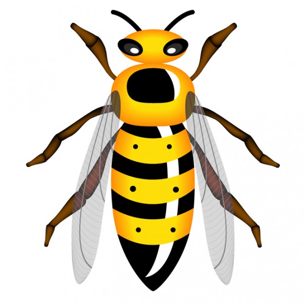 Cartoon Wasp - ClipArt Best