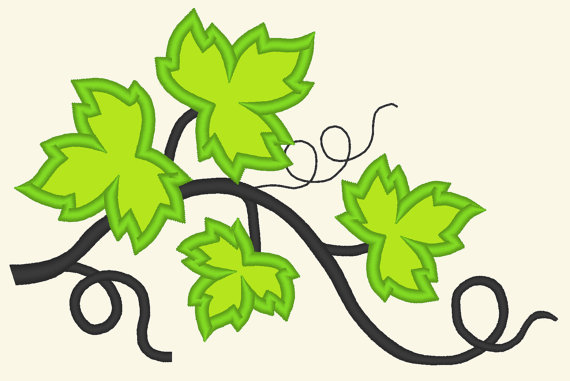 Big vine wine leaves wine leaves vine vine leaf leaves by artapli