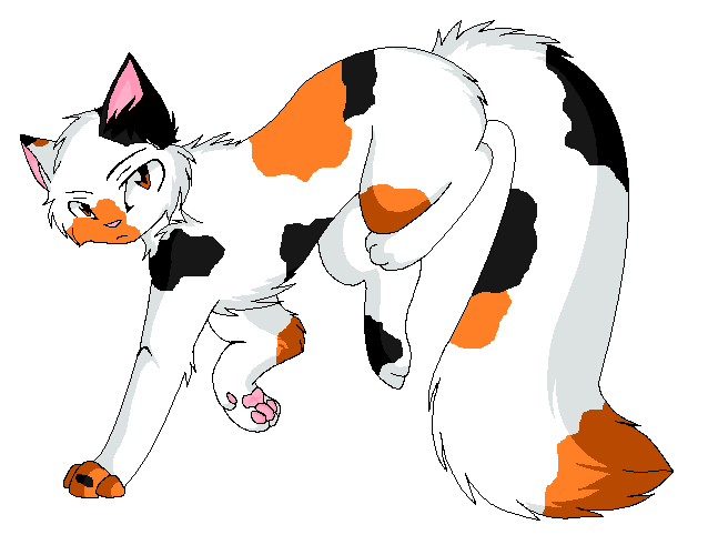 Calico Cat by katnissfanforever on DeviantArt