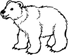Drawings Of Bears | Outline ...