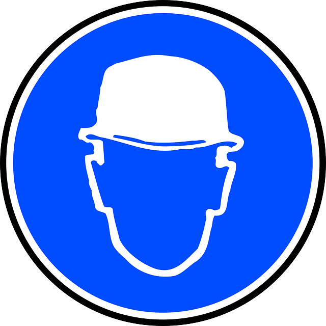 HEAD, SIGN, BLUE, SYMBOL, SILHOUETTE, SAFETY, SIGNS - Public ...