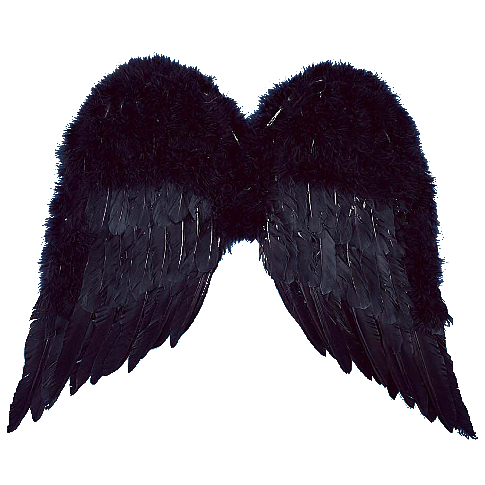 Black wings. Черные Крылья. Крылья ангела. Крылья ангела черные. Крылья для фотошопа.