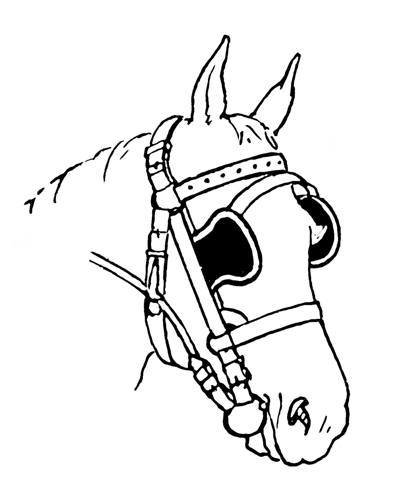 Horse head (PSF).png