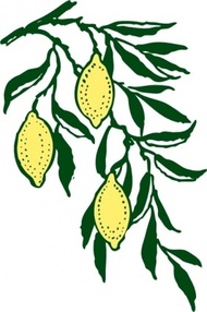 Branch Clip Art Download 115 clip arts (Page 1) - ClipartLogo.