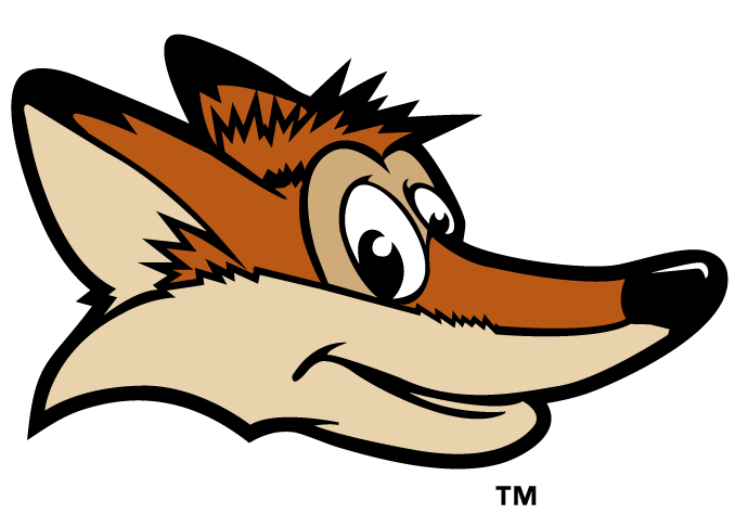 Colorado Springs Sky Sox Cap Logo - Pacific Coast League (PCL ...
