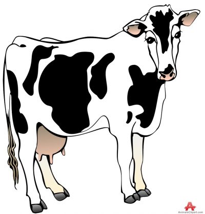 Milk Cow - ClipArt Best