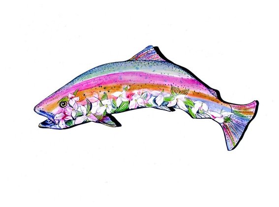 Rainbow Trout Clipart