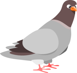 http://images.clipartpanda.com/pigeon-clip-art-pigeon-md.png by ...